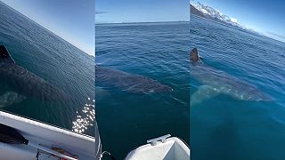 video Keď ideš na oceán na ryby, nezabudni si zobrať náhradnú spodnú bielizeň!