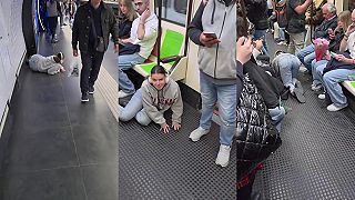 video V španielskom Madride už bežne stretnete ľudí, ktorí sa identifikujú ako psy