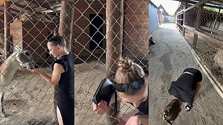 video Takým odpadom môžeš kŕmiť akurát tak toho svojho SOMÁRA, čo to natáča!
