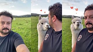 video Bola to naozaj láska na prvý pohľad!