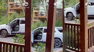 video Medvede v chatovej oblasti v Tennessee otvorili dvere auta a vliezli doň