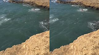 video Chlapec sa pri skoku do oceánu v San Diegu rozbil riť
