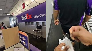 video Živý leguán vyskočil z balíka vo FedExe, zamestnanci v panike utekali