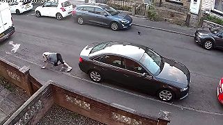 video Žena má panický strach z vrán
