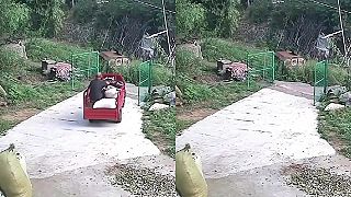 video Už keď ma tie brzdy zradili, zveziem sa teda ..