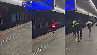 video Los v metre vo Varšave: Zviera uspali a odviezli späť do lesa (KURWA)