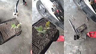 video Ten vzduchový filter už bolo treba vymeniť