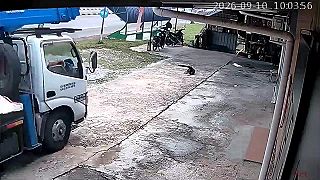 video Som na teba štekal, že tam nemáš parkovať!