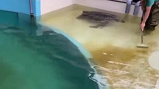 video A vykefuješ aj nás?