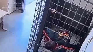 video „Úhor“ zatknutý za domáce násilie ušiel z cely predbežného zadržania