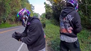 video Musím zachrániť toho pavúka za každú cenu!