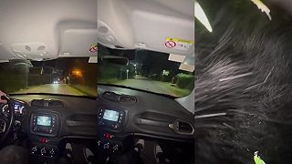 video Dvaja vytretí idioti asi predtým sledovali film Rýchlo a zbesilo ..