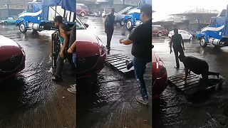 video Dám ti cez tú vodu paletu a pekne prejdeš ako šéf!