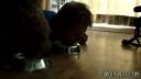 Man vs dog