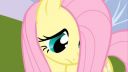 My Little Pony - Zoznámte sa s Fluttershy