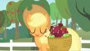 My Little Pony - Zoznámte sa s Applejack