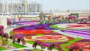 Dubai Miracle Garden