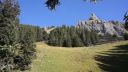 Best of wingsuits 2013