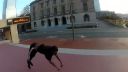 Parkour 9