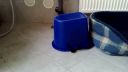 Mačka - kocúr pod kýblom. Iba chvílku nevedel čo sa deje