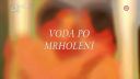 Halo - Voda po Mrholeni + Hokejova Strategia