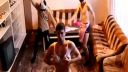 Harlem Shake Nevidzany
