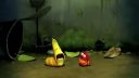 Larva funny