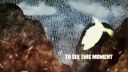 August Burns Red - Spirit Breaker