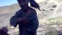 video Vták plače ako malé dieťa