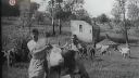 Od Tatier po Azovské more 1941 - 42 (dokument)
