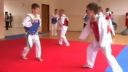 Black Tiger Taekwondo Snina - The best of best
