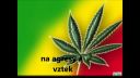 MessenJah - Ganja je lék (lyrics)