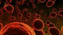 Vetřelci dávnověku HD - Mimozemské nákazy a epidemie