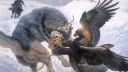 video Lov vlkov orlami