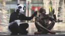 Parkour Panda
