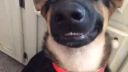 Smile......Smáááájlllllllll