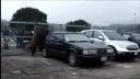 Pekné Volvo, pekné