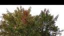 UFO Orb pozorovanie - 100% reálne