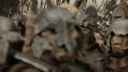 Ride of the Rohirrim