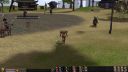 Bug