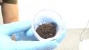 video 8000 mravcov sa správa ako materiál