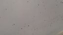 UFO, svetelné objekty sprevádzané preletom vrán 10.2.2014