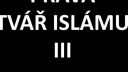 Interview s exmuslimkou III