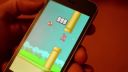 Flappy Bird - level 999