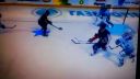 NHL 09 šatan