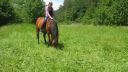 Horsemanship s dvomi chlpáčmi