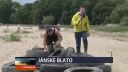 Jánske blato