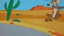 Road Runner Show 1