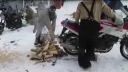 video Pílenie dreva motorkou