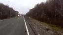 I Believe i Can Fly: Bear Version